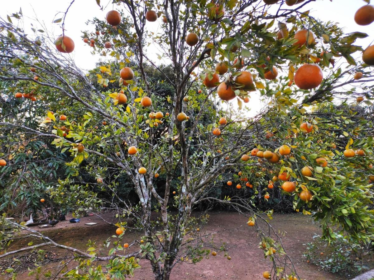 Casa De Campo Lazer Completo Paraiso De Reservas Naturais Em Sp Ibiúna Eksteriør bilde
